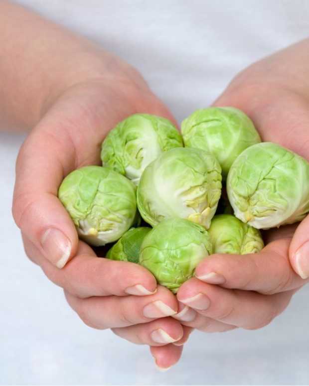 How to Make Brussels Sprouts Not Bitter 5 SureFire Tips Delishably