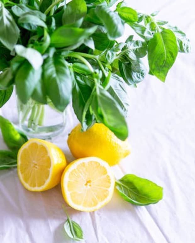 top-13-lemon-health-benefits-and-why-you-should-consume-them