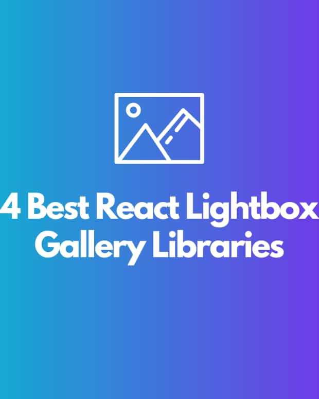 4 Best React Image Zoom Libraries to Check Out The Ultimate List