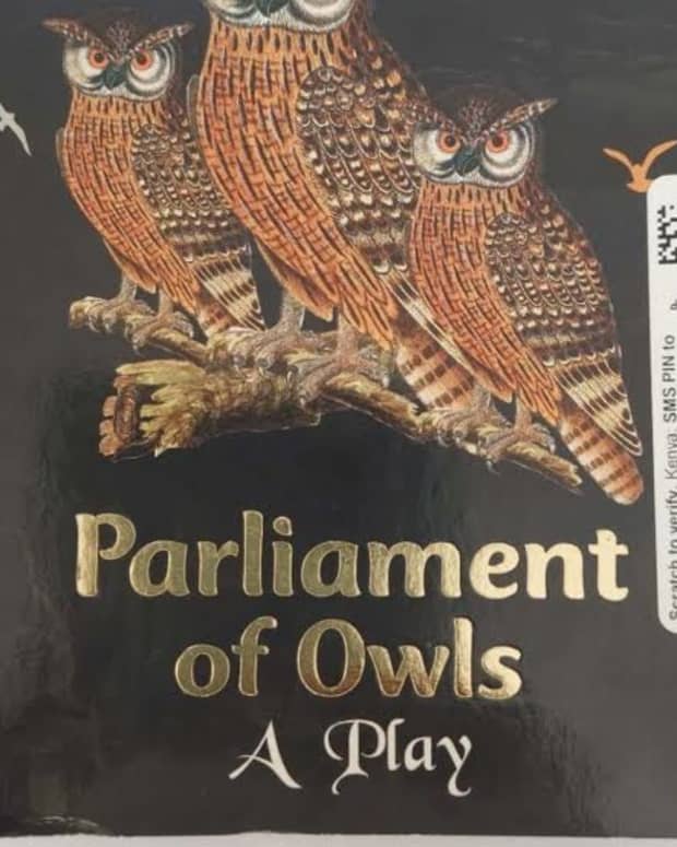 parliament-of-owls