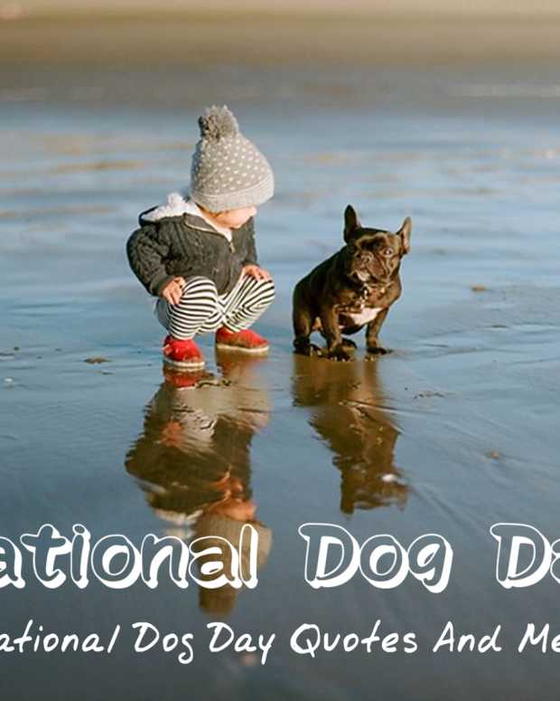 national-dog-day-august-26th