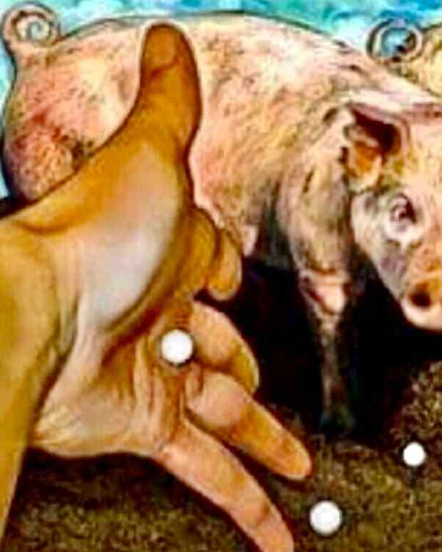 pearls-before-swine-and-the-narrowing-narrow-gate