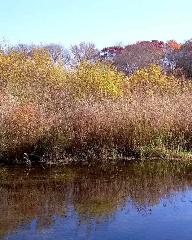 thanksgiving-and-giving-thanks