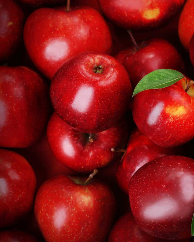 Red Currant Health Benefits and Nutrition CalorieBee