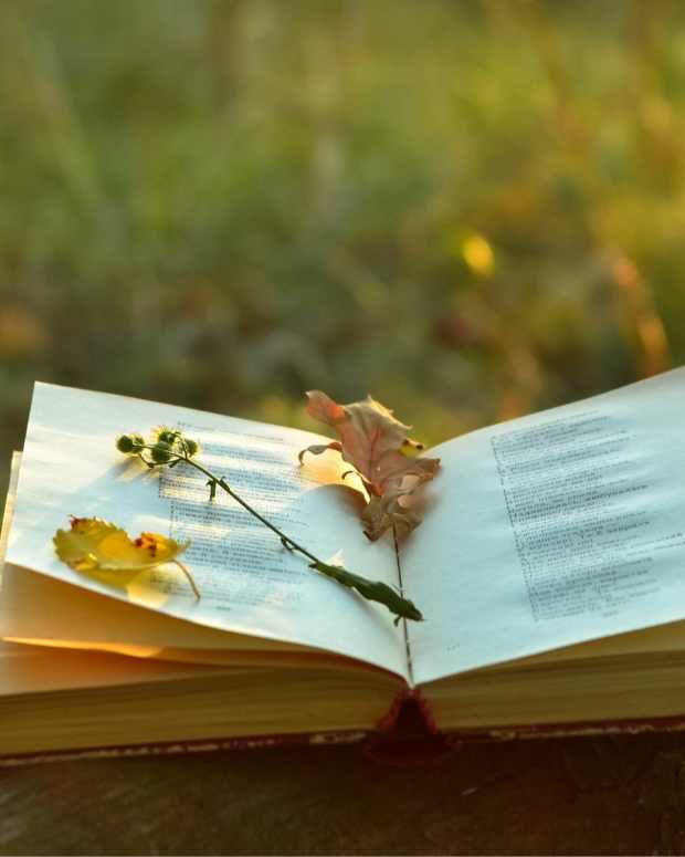 metaphors-examples-in-10-poems