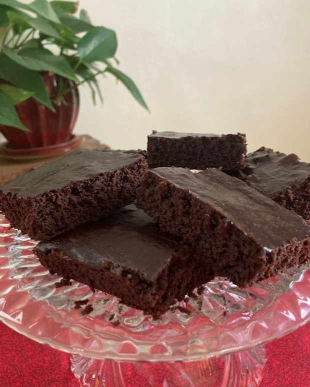 How to Teach Evolution to Kids HubPages