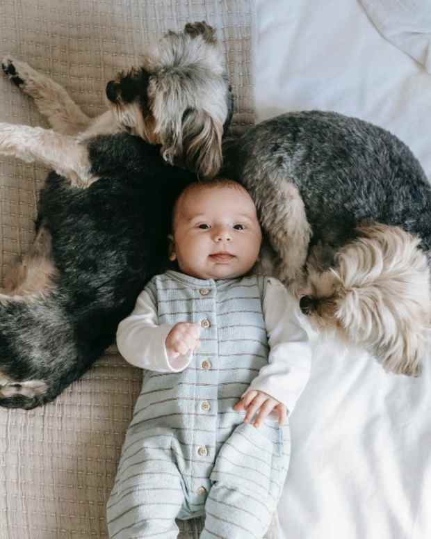 dog-obsessed-with-newborn-baby