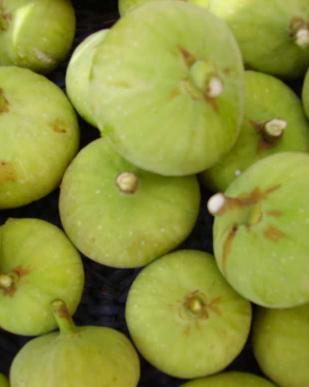 How to Make Healthy Dried Fig Fruit Snacks Delishably Food and Drink