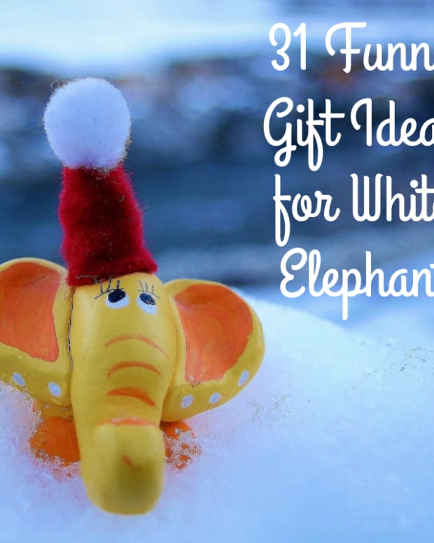 20 Funny White Elephant Gifts Under 10 Holidappy