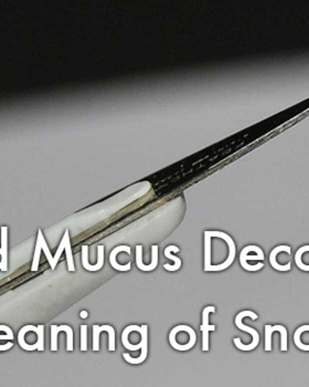 What Do White Spots in Your Stool Mean? YouMeMindBody Health & Wellness