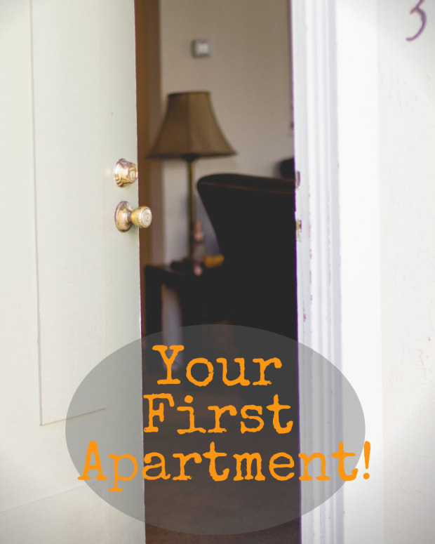 getting-your-first-apartment-a-guide-for-young-adults-by-a-young-adult