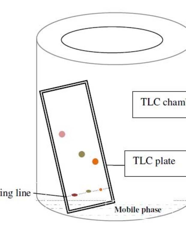 What Is Paper Chromatography Principle, Types, & Uses Owlcation Education