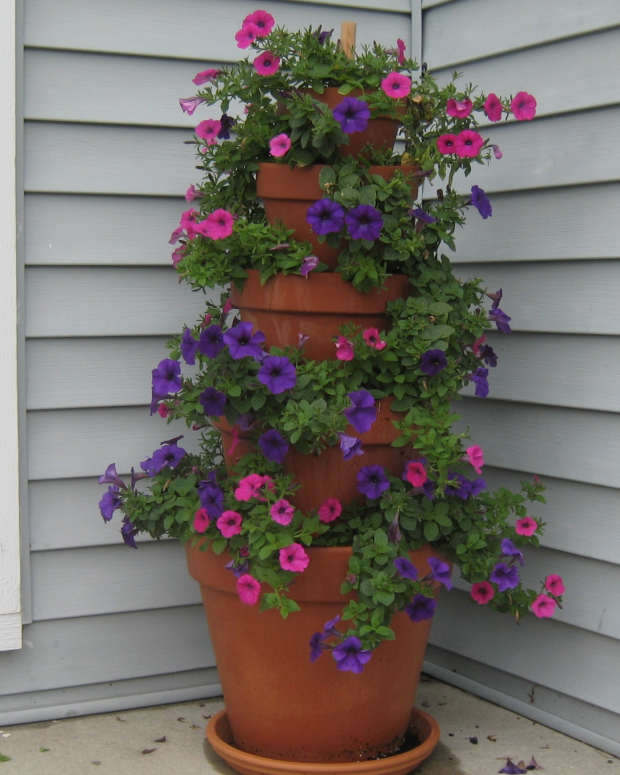 How to Make a Crooked Terra Cotta Pot Flower Tower With Annuals
