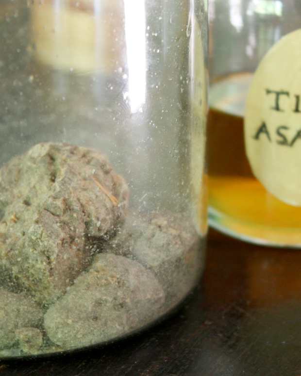 benefits-of-asafoetida-or-hing