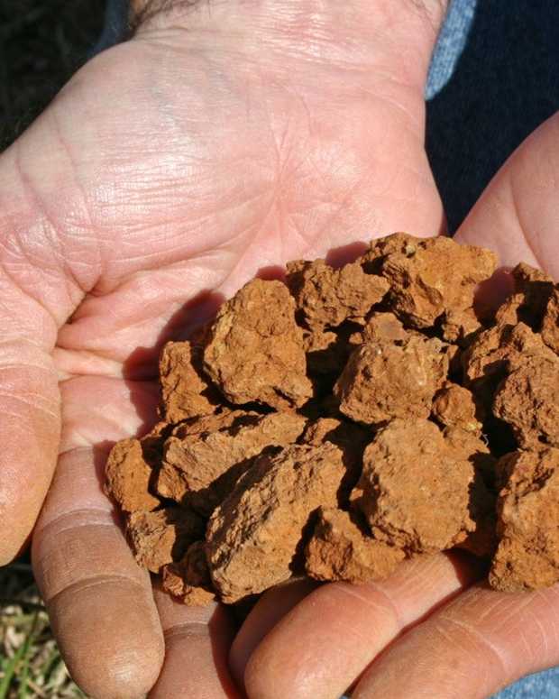 How to Reuse Potting Soil Safely - Dengarden - Home and Garden