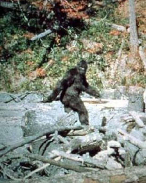 roosevelt bigfoot