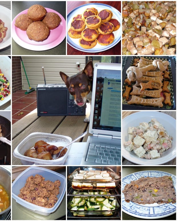 Homemade Dog Food With A Special Ingredient Pethelpful By Fellow Animal Lovers And Experts