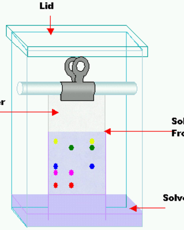 How To Make Litmus Paper: A Complete, Step-by-Step Guide - Owlcation ...