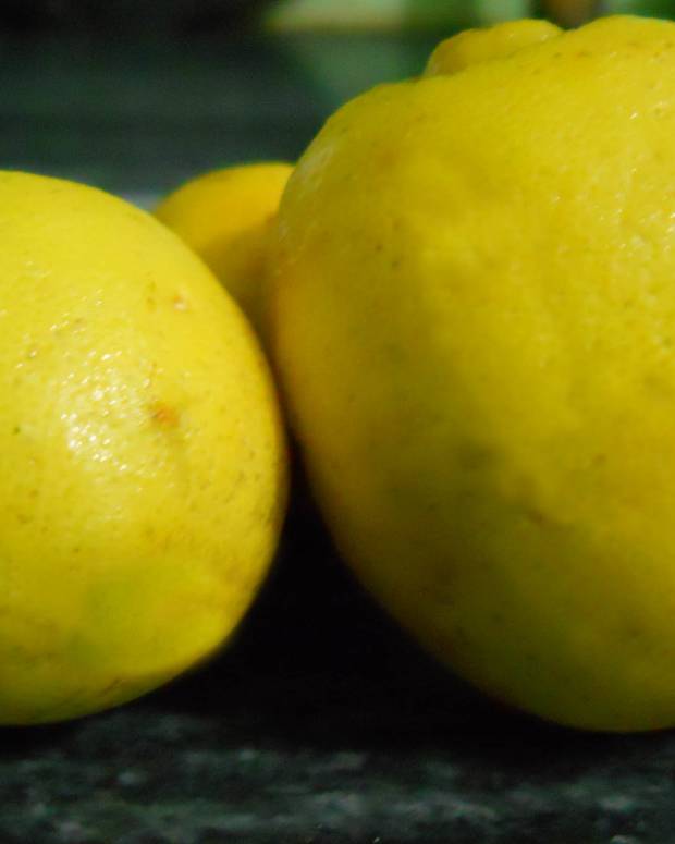 Download 5 Homemade Avocado Face Masks For Beautiful Skin Bellatory Fashion And Beauty PSD Mockup Templates