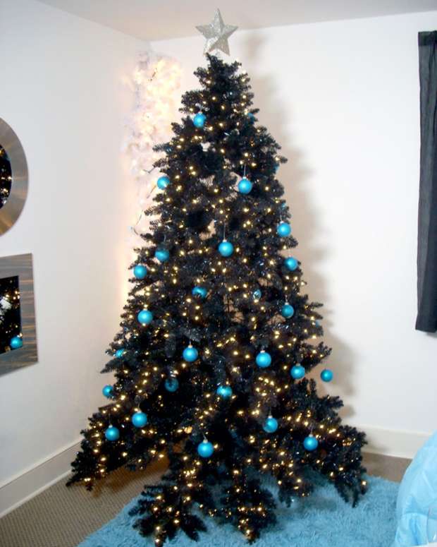 15 Trivia Facts About Christmas Trees Holidappy Celebrations