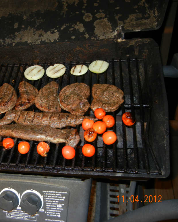 4 Fast and Easy Venison Recipes Delishably Food and Drink