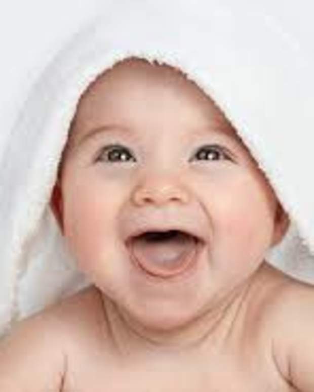 anne fine flour babies