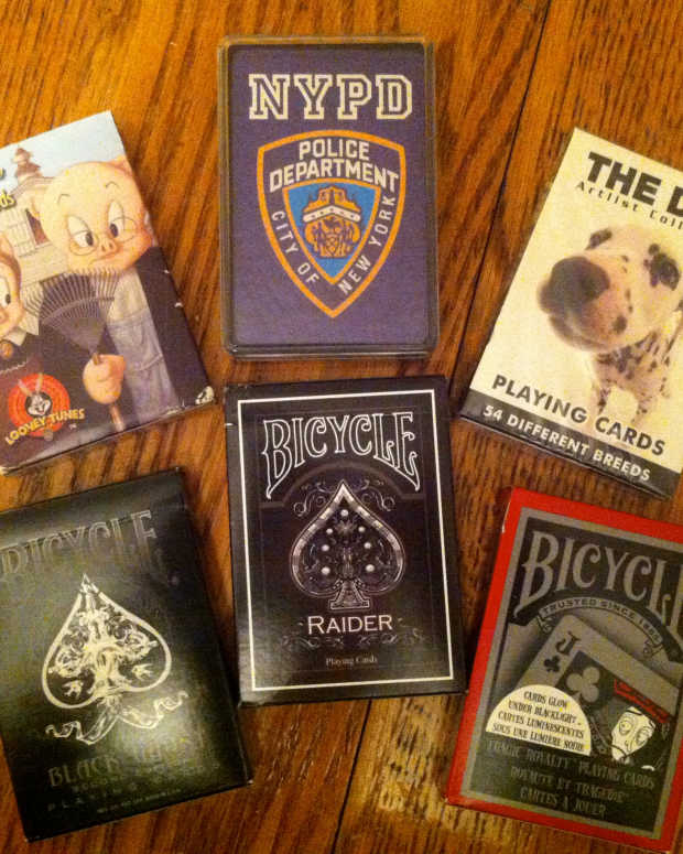 A Beginner's Guide to Collecting Seashells as a Hobby HobbyLark