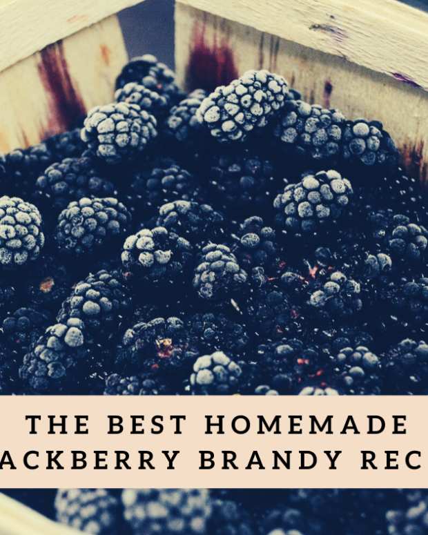 The Best Homemade Peach Brandy Recipe Delishably Food and Drink