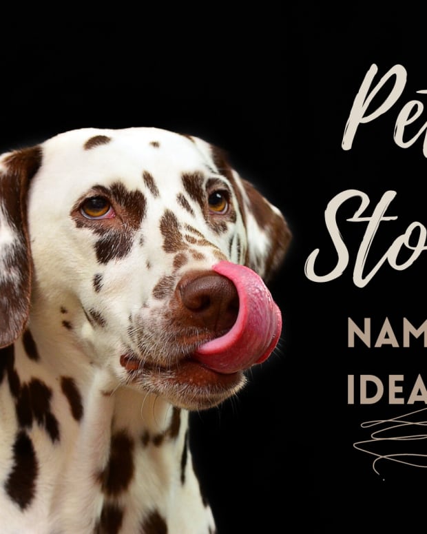 pet-store-names