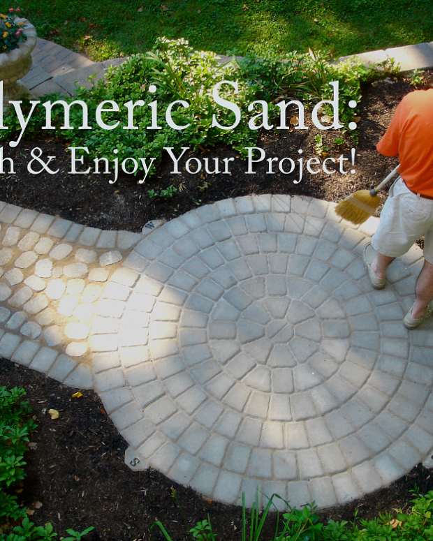 Can Plants Grow in Sand? Dengarden Home and Garden