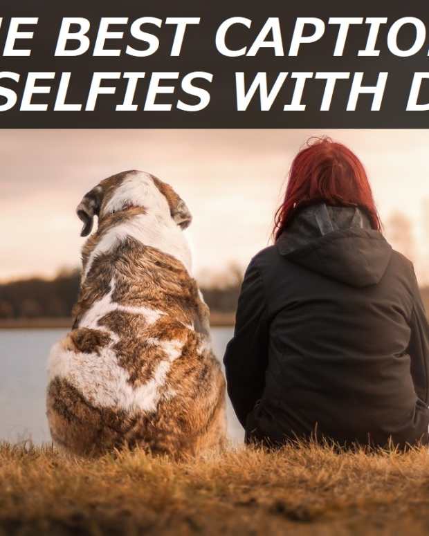 100+ Best Captions for Selfies With Cats TurboFuture Technology
