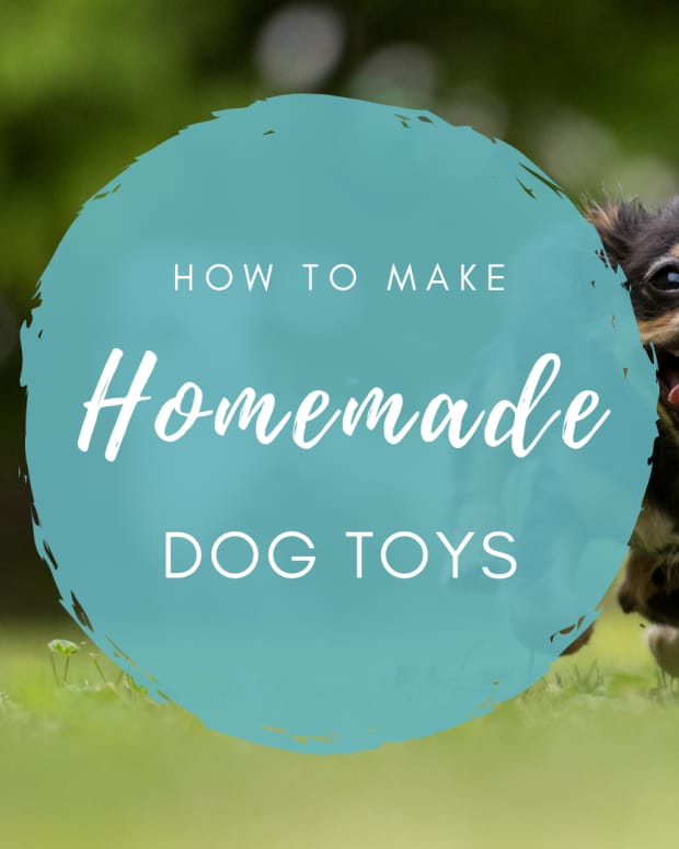 Make Your Own Homemade Rabbit Toys PetHelpful By fellow animal lovers and experts