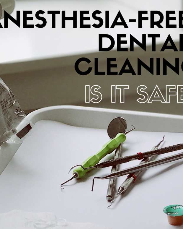 The Best Bones for Cleaning a Dog's Teeth PetHelpful By fellow