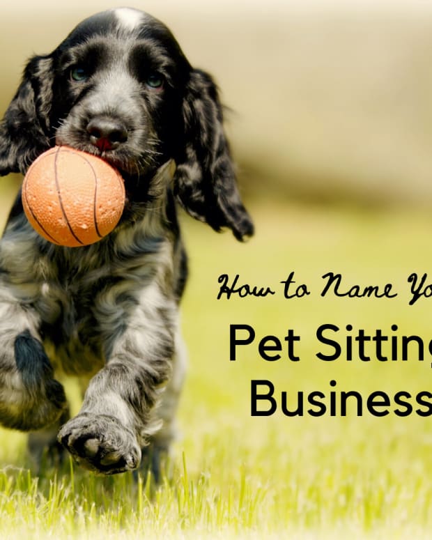 pet-sitting-business-names