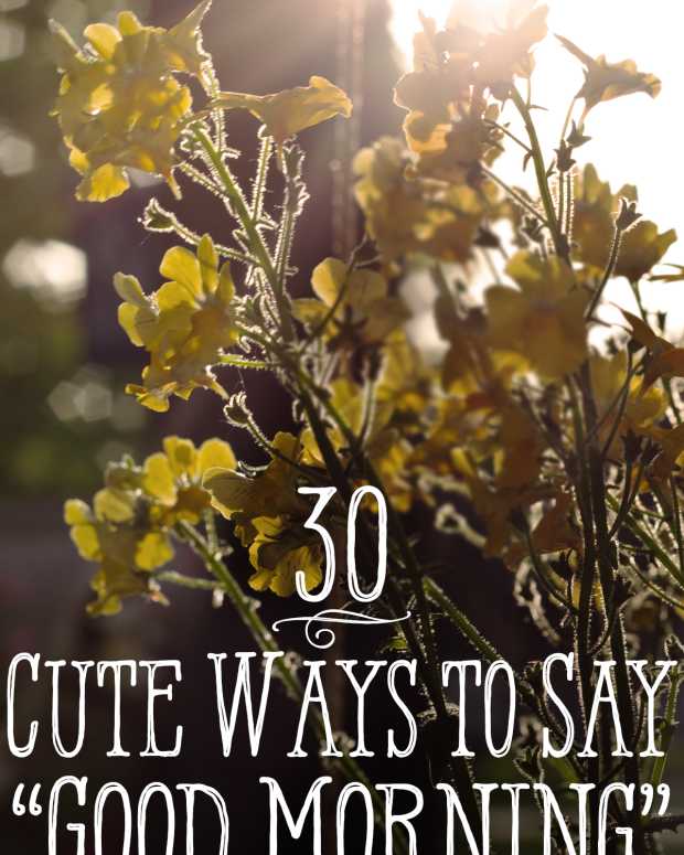 100+ Funny and Creative Ways to Say "Good Morning" PairedLife