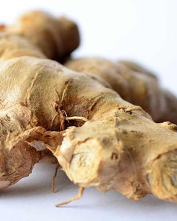 7 Most Poisonous Berries (With Photos and Descriptions) CalorieBee