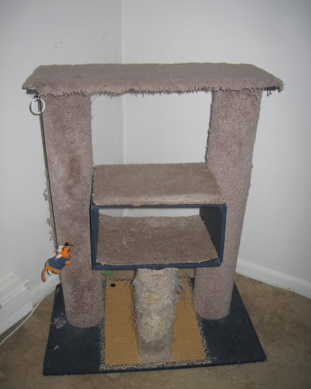 ceiling mounted cat tree