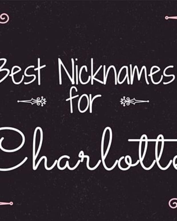 Cute and Funny Teddy Bear Names WeHaveKids Family