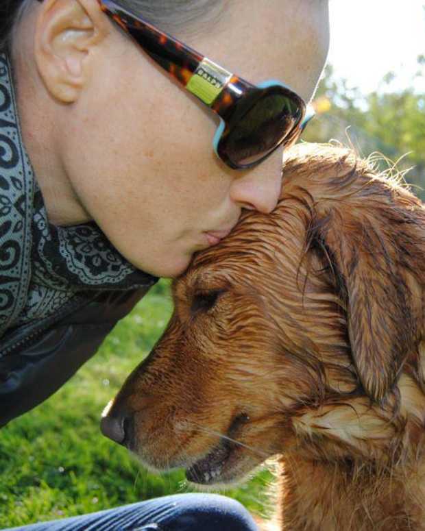 The Risks of Raising Two Female Dogs PetHelpful By fellow animal