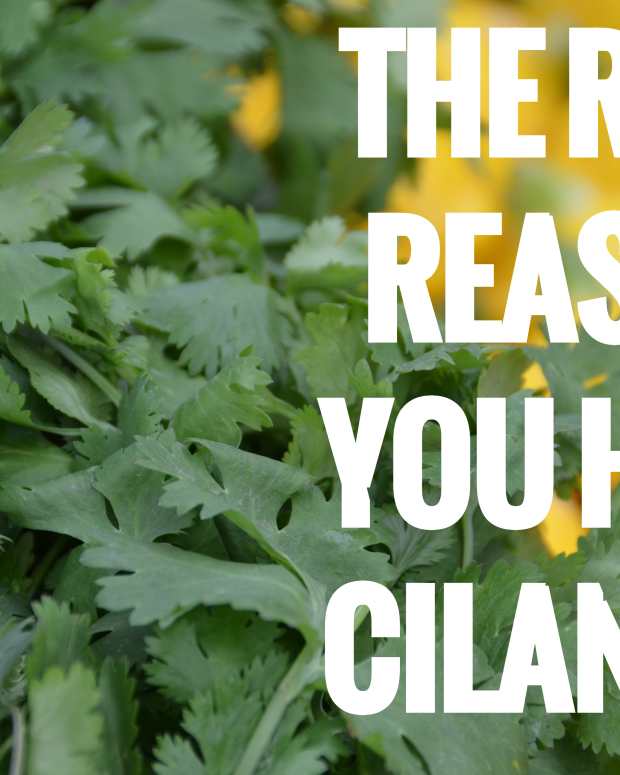 Coriander and Cilantro What's the Difference? Delishably Food and
