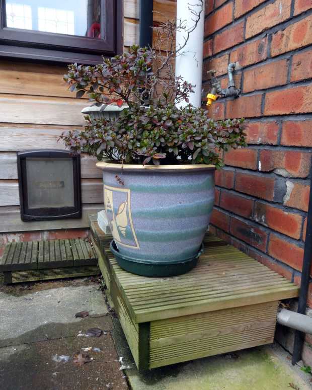 DIY Insulating Your Cat Flap PetHelpful By fellow animal lovers