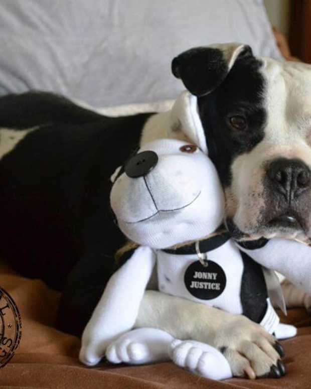 brindle pitbull stuffed animal