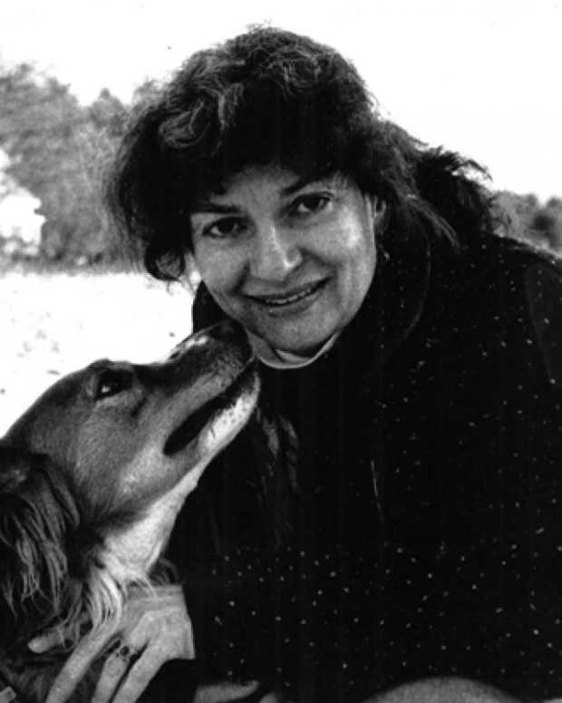 Analysis of Poem Waking in the Blue by Robert Lowell Owlcation Education