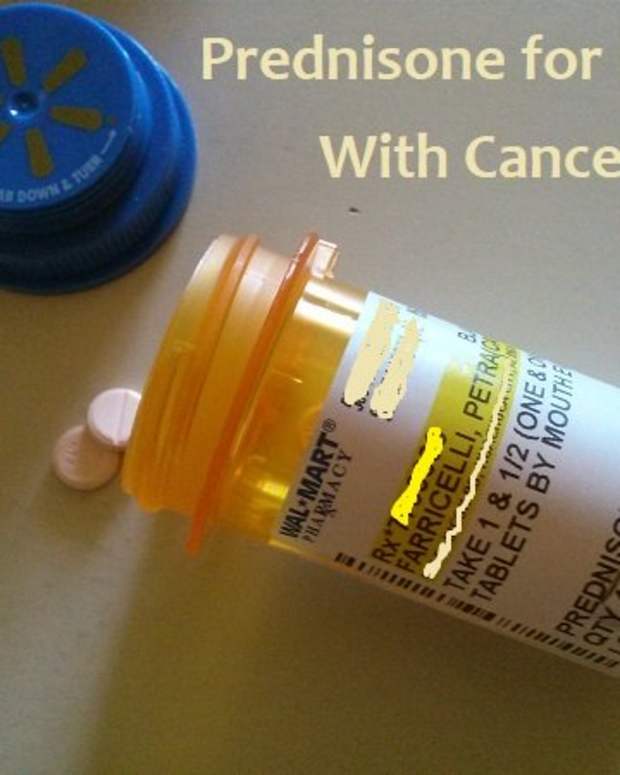 The Importance of Gradually Weaning Dogs Off Prednisone PetHelpful