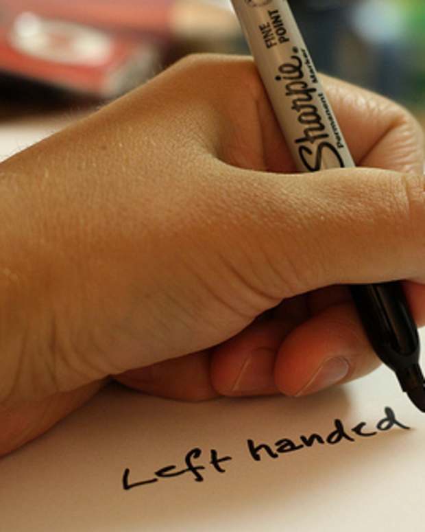 Right Brain vs. Left Brain Functions Owlcation Education