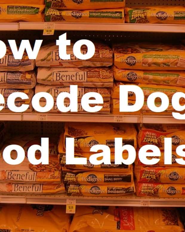 DIY Dog Food From Scratch PetHelpful By fellow animal lovers and