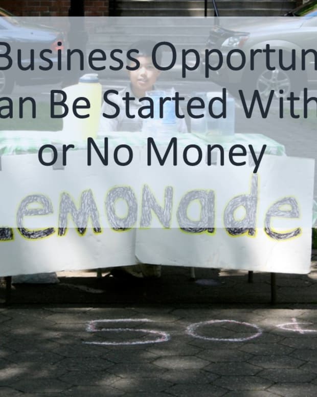 five-business-opportunities-that-can-be-started-with-little-or-no-money