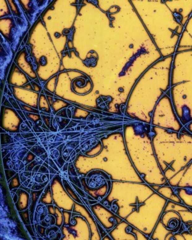 What is the Universal Scaling Law and Scale Symmetry? Owlcation