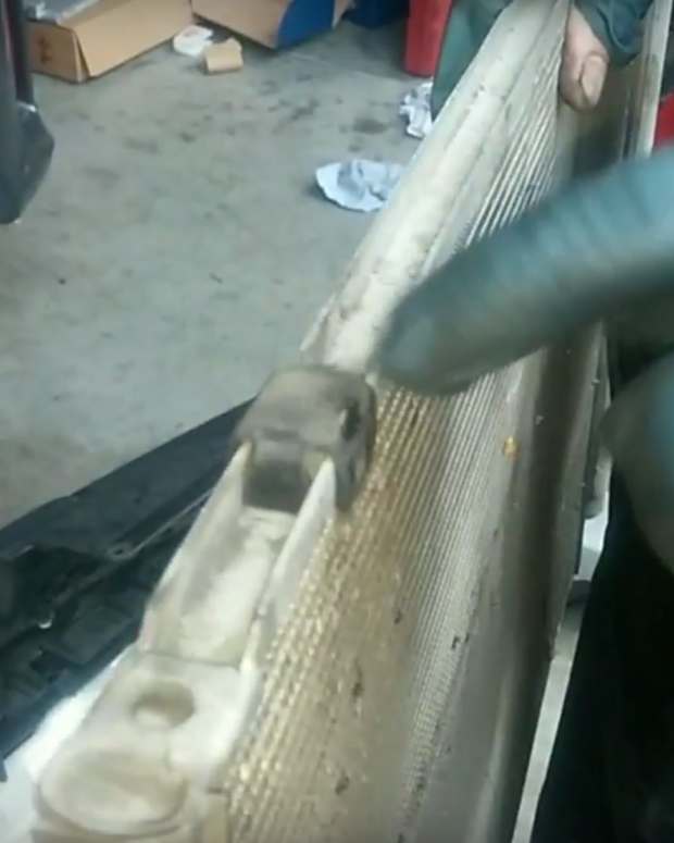 Diy Auto Ac Evacuation