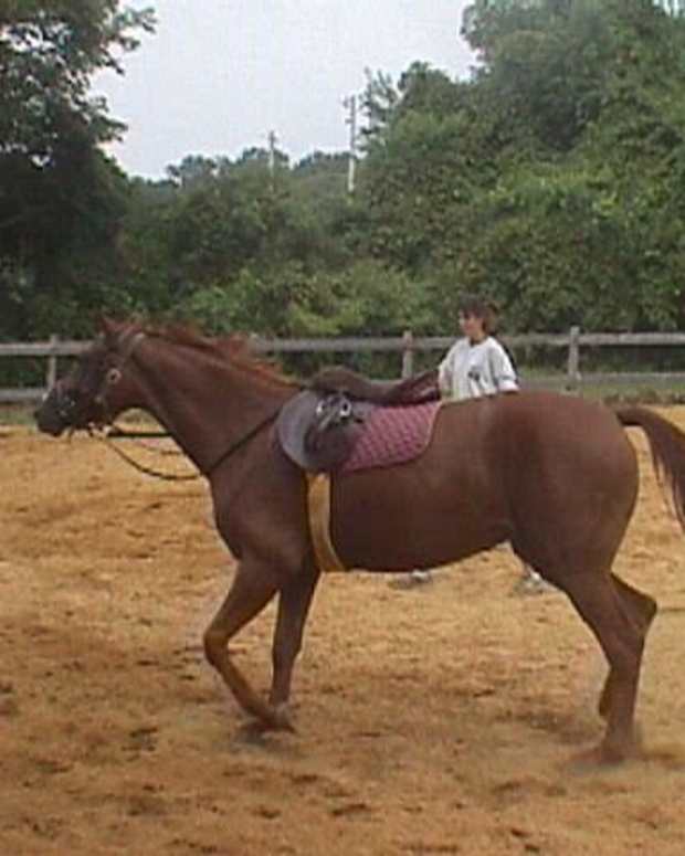 How to Untack a Horse PetHelpful By fellow animal lovers and experts